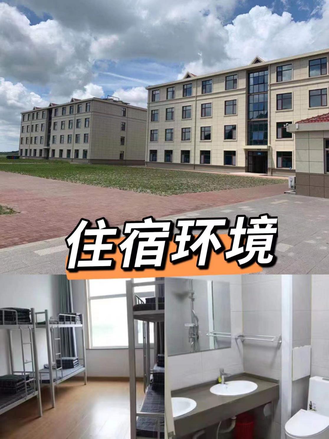 沖鋒者勇士障礙賽青島營地-青島拓展培訓(xùn)公司|青島團建勝地|專業(yè)拓展訓(xùn)練服務(wù)-青島眾行遠管理咨詢