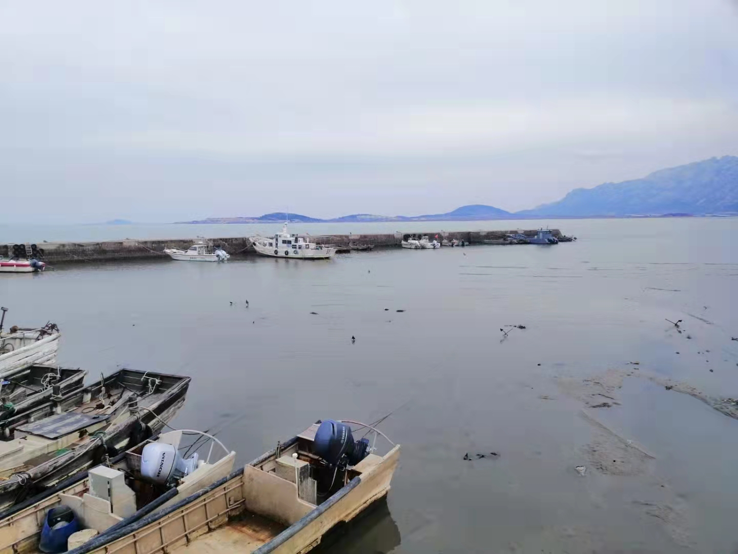 嶗山會(huì)場(chǎng)蟹港,一個(gè)青島青島適合團(tuán)建的地方