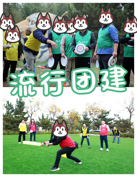 青島拓展，青島拓展訓(xùn)練，青島團(tuán)建，請致電青島眾行遠(yuǎn)