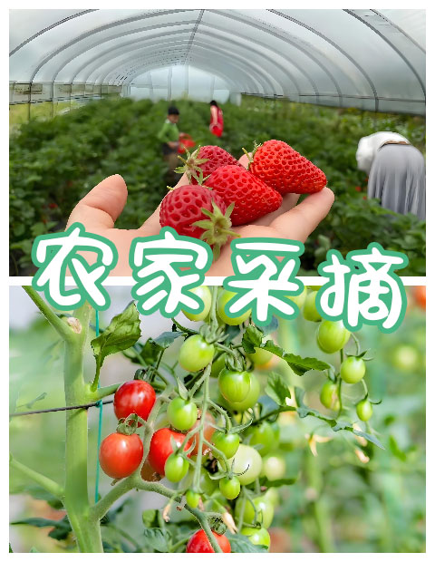 青島拓展，青島拓展訓(xùn)練，青島團(tuán)建，請致電青島眾行遠(yuǎn)