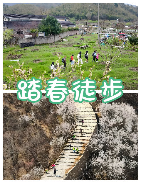 青島拓展，青島拓展訓(xùn)練，青島團(tuán)建，請致電青島眾行遠(yuǎn)